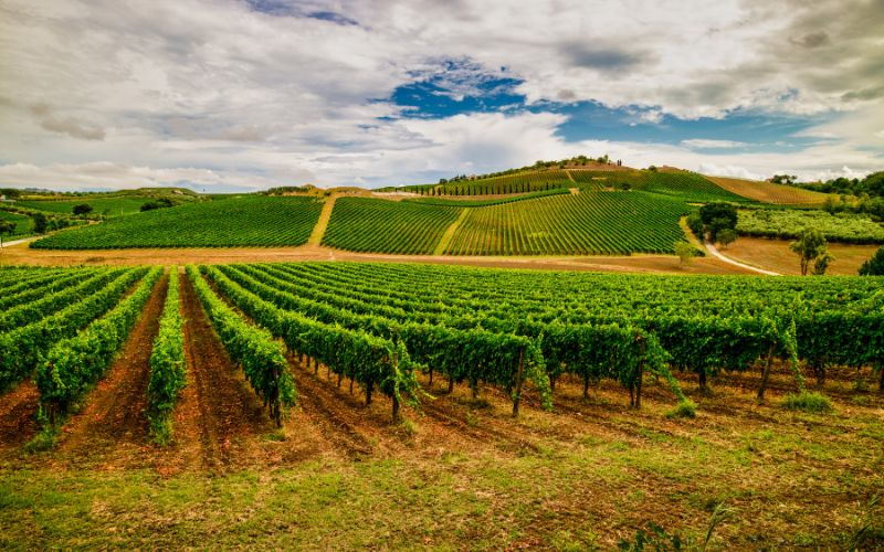 WEEKEND DEL GUSTO IN ABRUZZO
